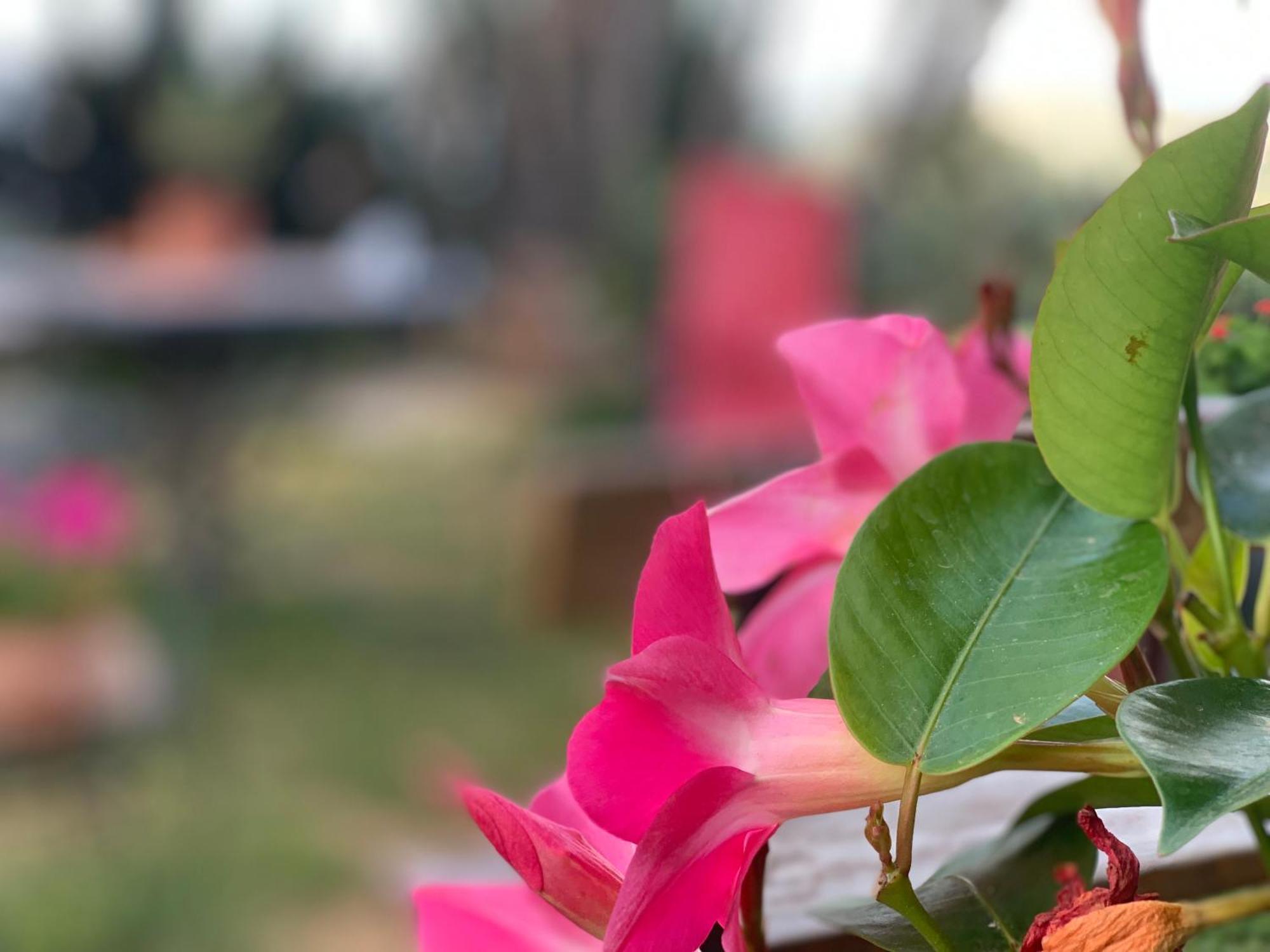 Villette Monte Alto Patti Ngoại thất bức ảnh